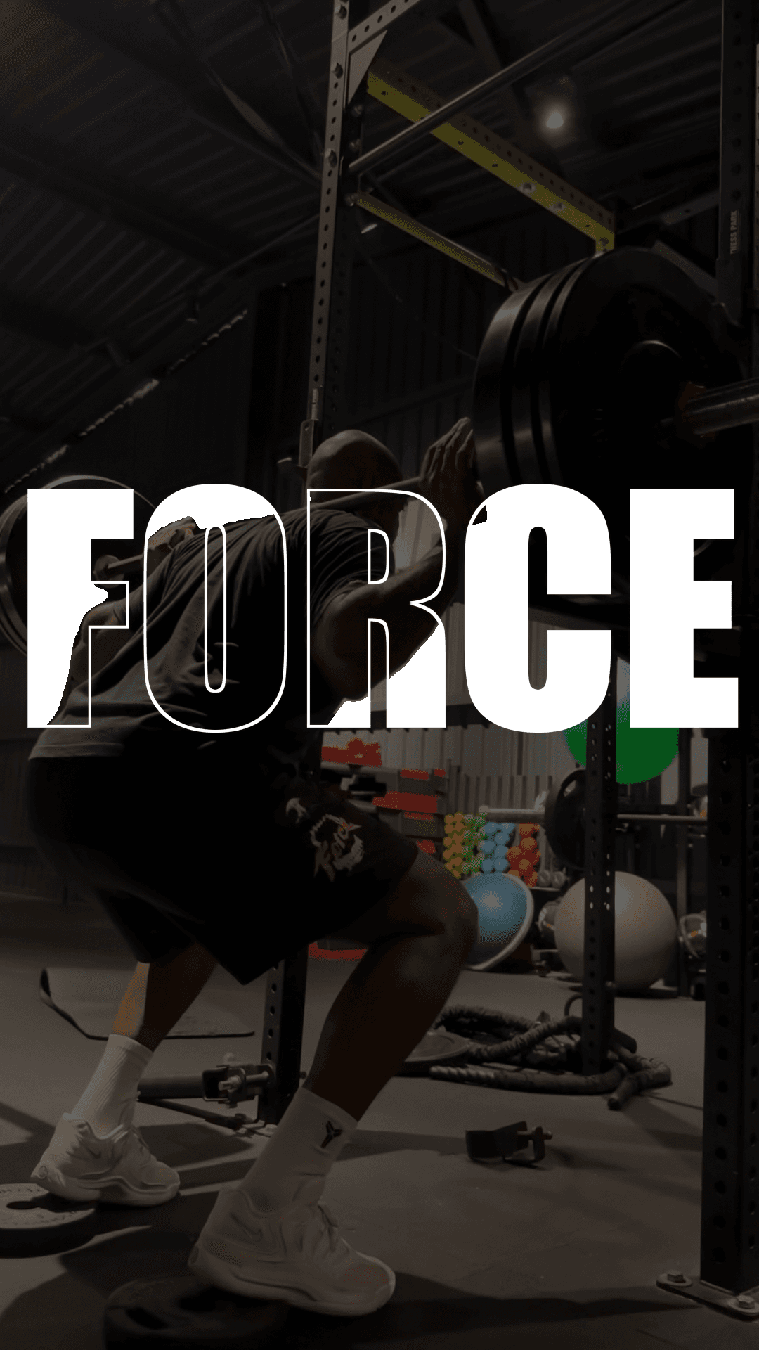 Travail de force : squat à la barre chargée au rack